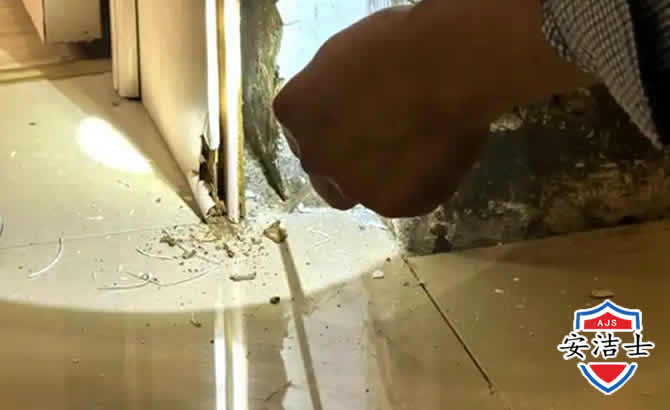 瑞安房屋建筑防治白蚁