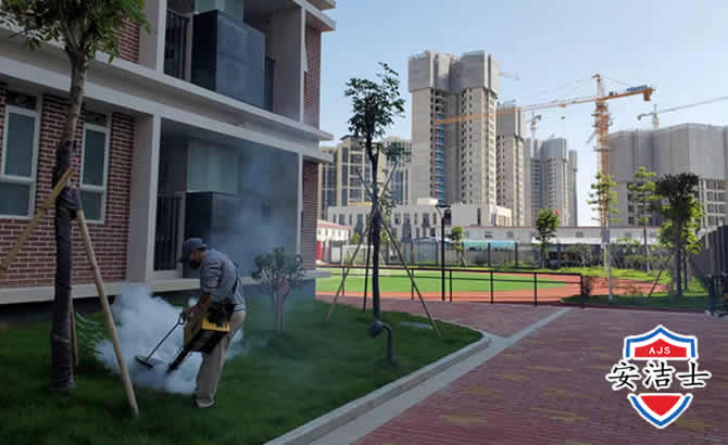瑞安工厂工地除白蚁