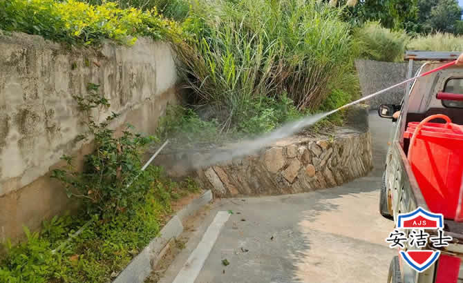 瑞安道路堤坝白蚁防治