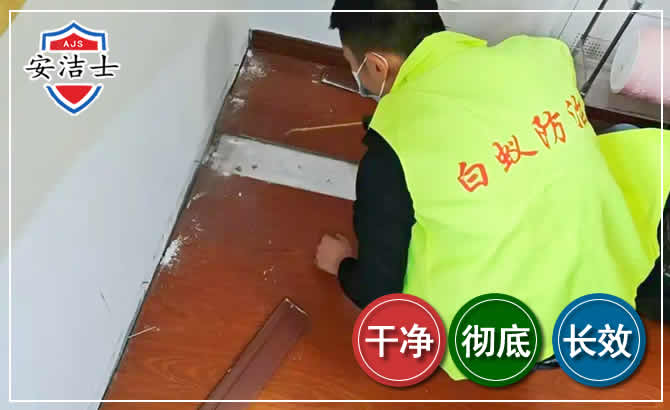 瑞安除四害现场