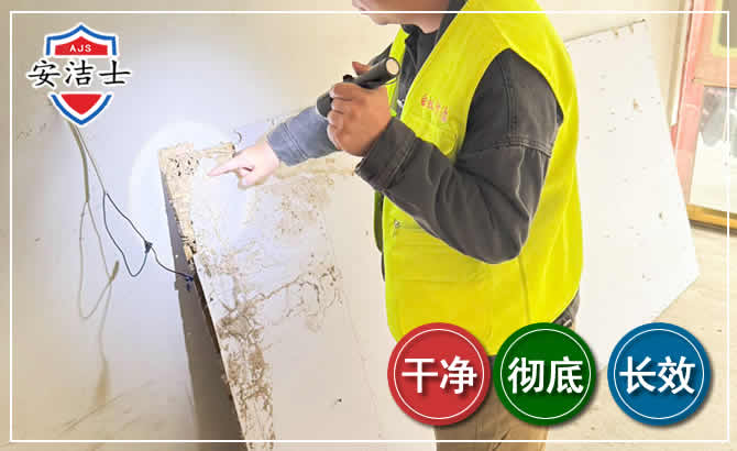 瑞安除白蚁现场