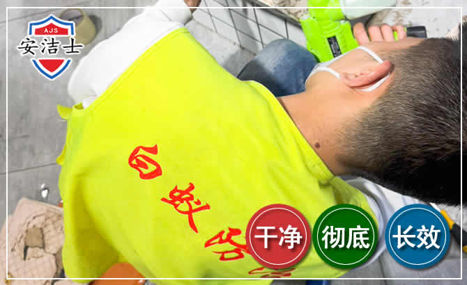 瑞安白蚁根治现场